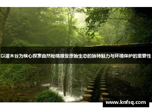 以灌木谷为核心探索自然秘境感受原始生态的独特魅力与环境保护的重要性